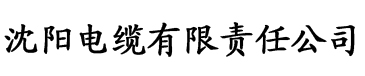 国产欧美日韩一区二区加勒比电缆厂logo